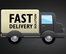Fast Delivery